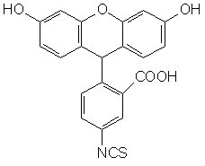 5-ɹأFITC